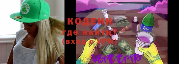 гашик Иннополис