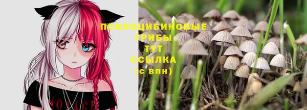 гашик Иннополис