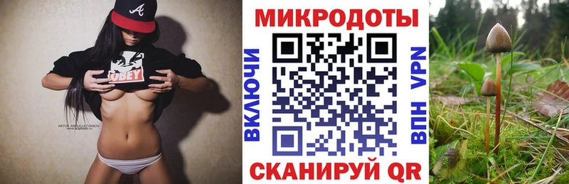 дарнет шоп  Медногорск  Галлюциногенные грибы MAGIC MUSHROOMS 
